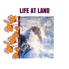 Life at Land - Single by Water in the Earth album reviews, ratings, credits