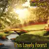 This Lovely Forest - Single album lyrics, reviews, download