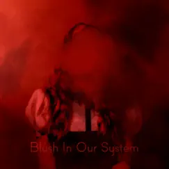 Blush in Our System Song Lyrics