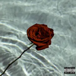 Dead Roses (feat. VNNY) - Single by Saint Boyd album reviews, ratings, credits