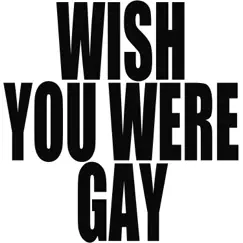 Wish You Were Gay (Originally Performed by Billie Eilish) [Instrumental] - Single by Vox Freaks album reviews, ratings, credits