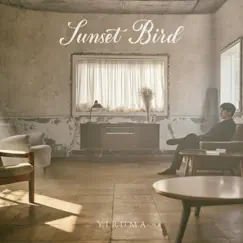 Sunset Bird - Single by Yiruma album reviews, ratings, credits