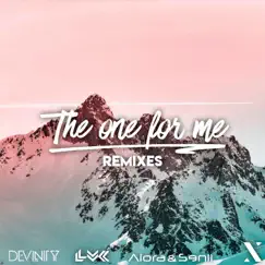 The One for Me (Lvk Remix) [feat. Kristina R] Song Lyrics