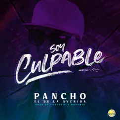 Soy Culpable - Single by Pancho el de la Avenida album reviews, ratings, credits