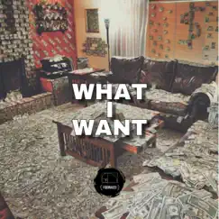 What I Want - Single by Fibonacci album reviews, ratings, credits