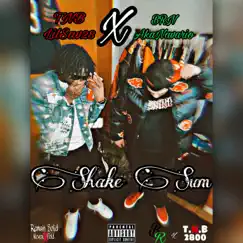 Shake Sum (feat. LilSav28) - Single by Aka Navario album reviews, ratings, credits