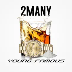 2 Many - Single by Young Famous album reviews, ratings, credits