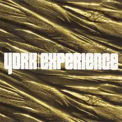 Experience by York album reviews, ratings, credits