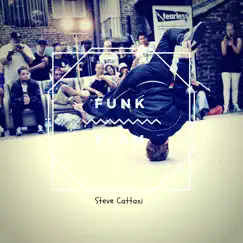 Funk Flam - Single by Steve Cattani album reviews, ratings, credits