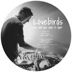 New Shit Has Come to Light - Single by Lovebirds album reviews, ratings, credits