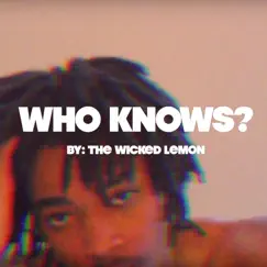 Who Knows? - Single by The Wicked Lemon album reviews, ratings, credits