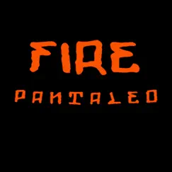 Fire Pantaleo - Single by The Resistance Company album reviews, ratings, credits