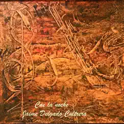 Cae La Noche - Single by Jaime Delgado Cultrera album reviews, ratings, credits