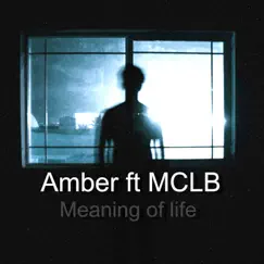 Meaning of Life - Single by Amber album reviews, ratings, credits