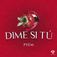 Dime Si Tu - Single by Pyem album reviews, ratings, credits