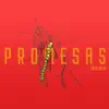 Promesas - Single album lyrics, reviews, download