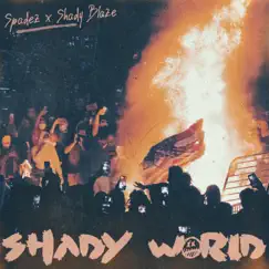 Shady World (feat. Kurtis John) Song Lyrics
