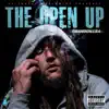 The Open Up album lyrics, reviews, download