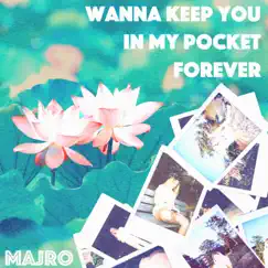 Wanna Keep You in My Pocket Forever - Single by MAJRO album reviews, ratings, credits