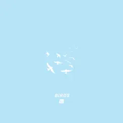 Birds - Single by Alpha Omega & XL the Band album reviews, ratings, credits