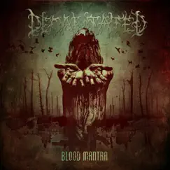 Blood Mantra by Decapitated album reviews, ratings, credits