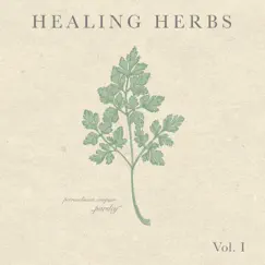 Healing Herbs, Vol. 1 - EP by Sto Nii album reviews, ratings, credits