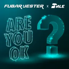 Are You Ok? - Single by Fubar & Jester & DTALE album reviews, ratings, credits