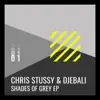 Shades of Grey EP album lyrics, reviews, download