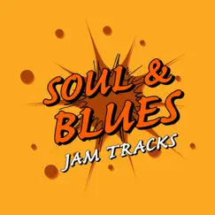 Soul and Blues Jam Tracks by Petti Backing Tracks album reviews, ratings, credits