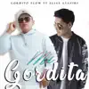 Mi Gordita - Single album lyrics, reviews, download