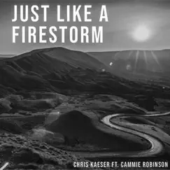 Just Like a Firestorm (feat. Cammie Robinson) [Remode Extended Mix] Song Lyrics