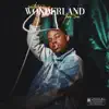 Southern Wonderland album lyrics, reviews, download
