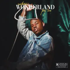 Southern Wonderland by Troy Lux album reviews, ratings, credits