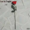Luv Is Fragile - EP album lyrics, reviews, download