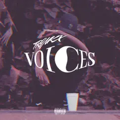 Voices - EP by Trinkx album reviews, ratings, credits