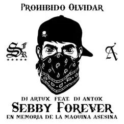 Sebby Forever - Single by Dj Artux & DJ Antox album reviews, ratings, credits