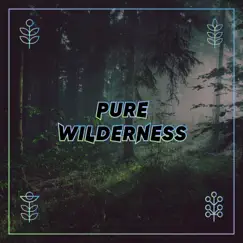 Pure Wilderness - Single by Eliot Lipp & MZG album reviews, ratings, credits