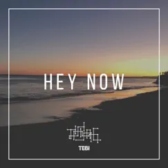 Hey Now - Single by Tebi album reviews, ratings, credits