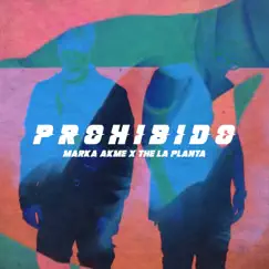 Prohibido Song Lyrics