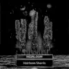 Heirloom Shards - Single album lyrics, reviews, download