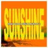 Sunshine (feat. El Geniuz & Mauro Style) song lyrics