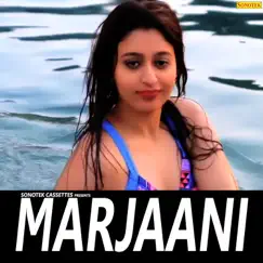 Marjaani Song Lyrics