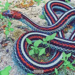Snakes Song Lyrics