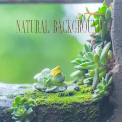 Natural Background by The Art Of Relaxation album reviews, ratings, credits