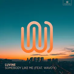 Somebody Like Me (feat. WAVO X) Song Lyrics