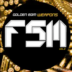 Golden Edm Weapons, Vol. 2 by Jordan Rivera album reviews, ratings, credits