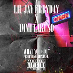 What You Got - Single by Lil Jay Erryday & Immi Laruso album reviews, ratings, credits