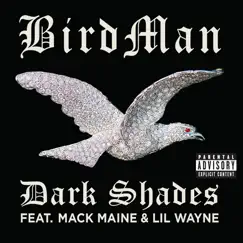 Dark Shades (feat. Lil Wayne & Mack Maine) Song Lyrics