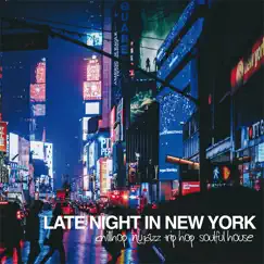 Late Night in New York (Chillhop Nu Jazz Trip Hop Soulful House) by Various Artists album reviews, ratings, credits