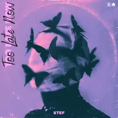 Too Late Now - Single by STEF album reviews, ratings, credits